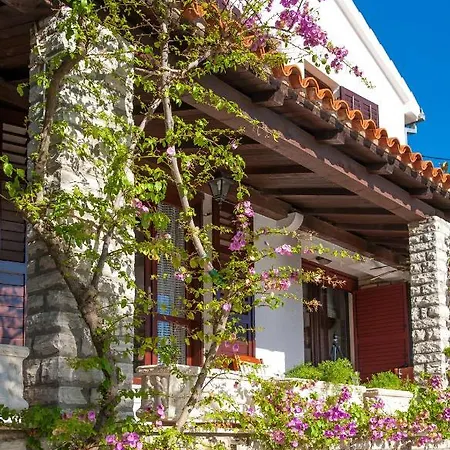 Villa Spacious In With Private Pool Seget Vranjica