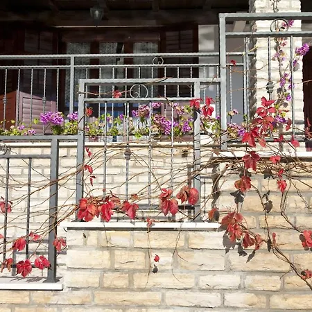 Spacious In With Private Pool Seget Vranjica